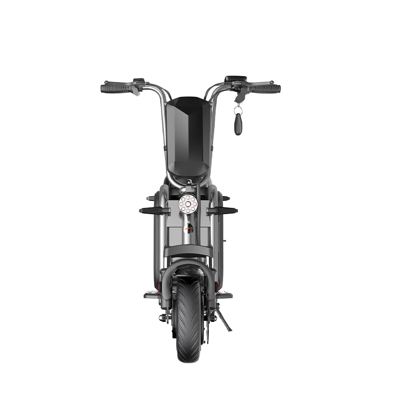 LaPet Two Wheel Mini Pet Electric Scooter By YIDI