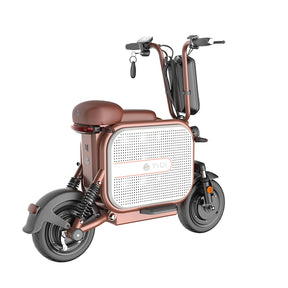 LaPet Two Wheel Mini Pet Electric Scooter By YIDI