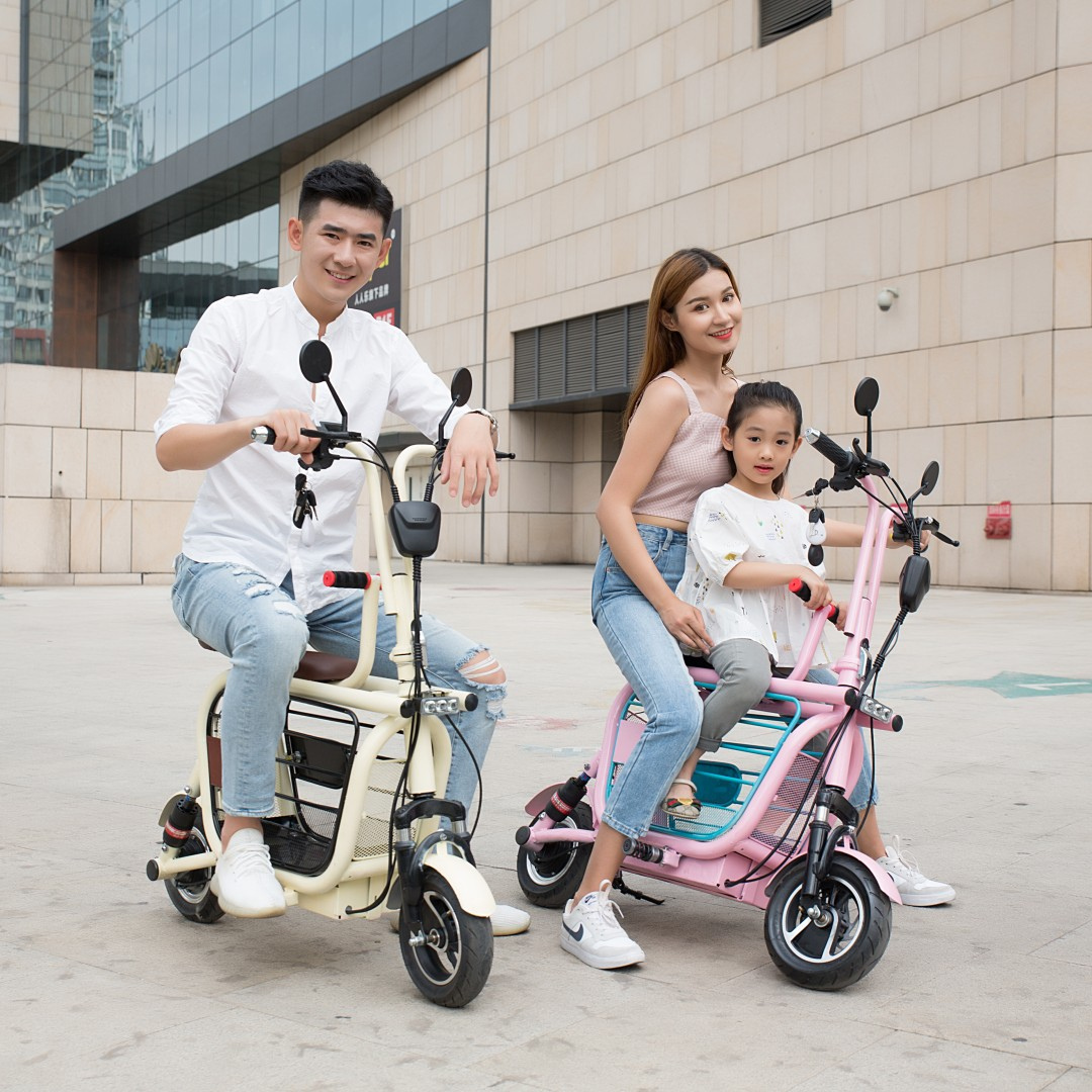 Upgraded Mopet Two Wheel Pet Carrier Mobility Scooter