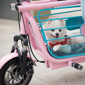 Upgraded Mopet Two Wheel Pet Carrier Mobility Scooter