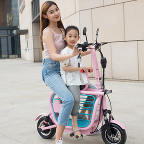 Upgraded Mopet Two Wheel Pet Carrier Mobility Scooter