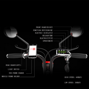 Upgraded Mopet Two Wheel Pet Carrier Mobility Scooter