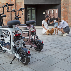 Mopet Two Wheel Pet Carrier Mobility Scooter