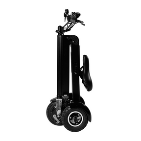 3 Wheel Folding Electric Scooter Trike