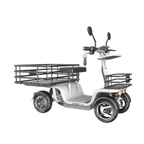 Four Wheel Sports Carrier Scooter