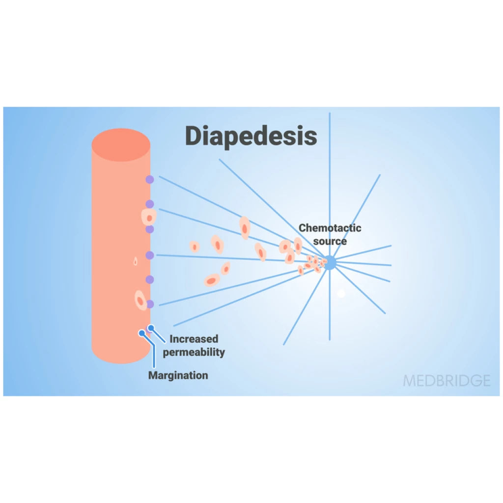 Tissue Injury: Mechanisms of Inflammation and Repair